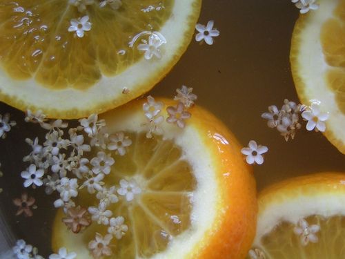 oranges with flowers and leaves floating in water