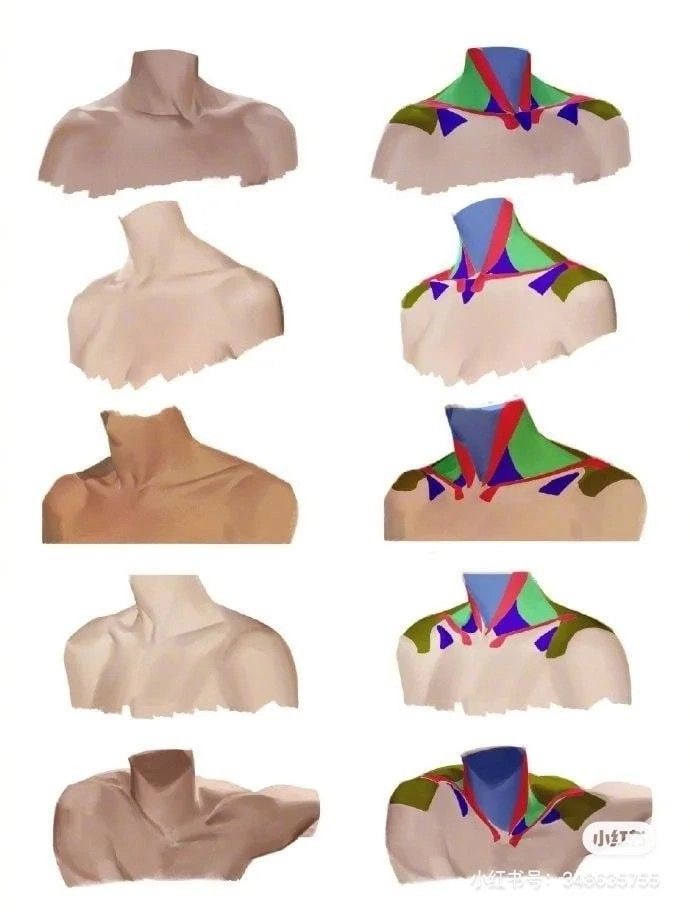 six different angles of the neck and upper half of an adult's head, with multiple colored sections