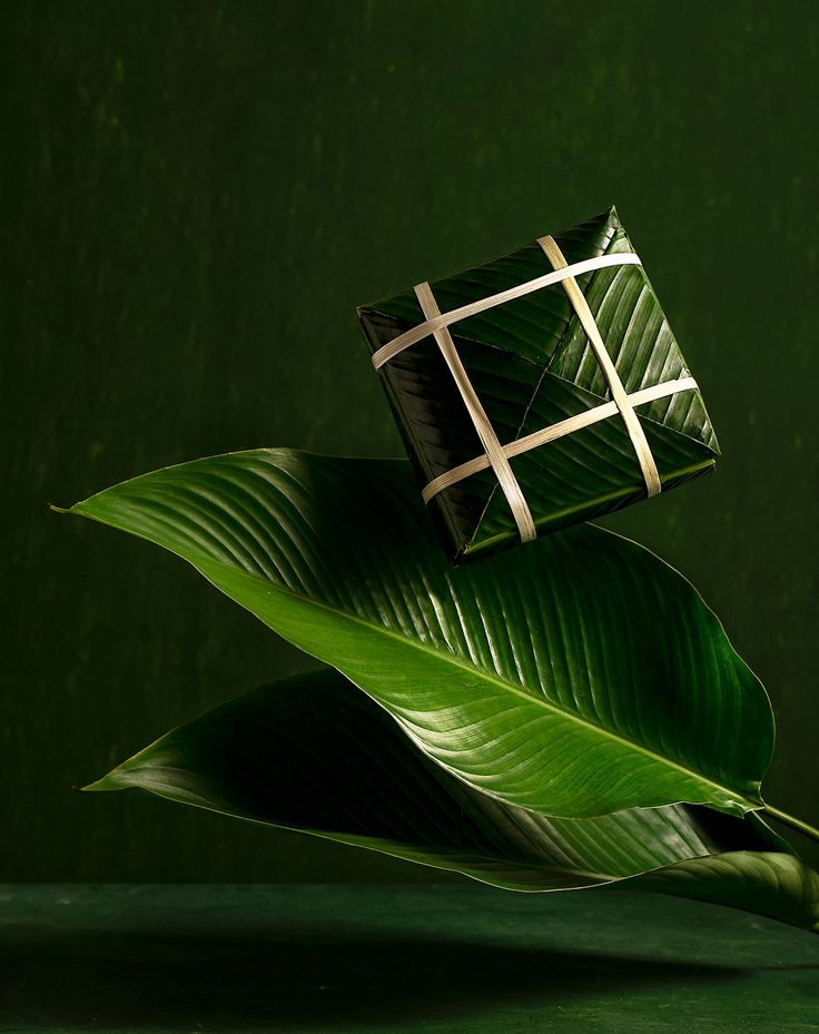 a green plant with a cross on it's end sitting in front of a dark background