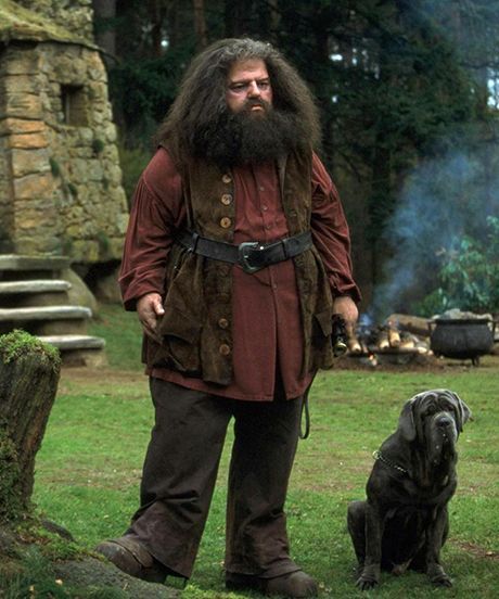 a man with long hair and beard standing next to a dog