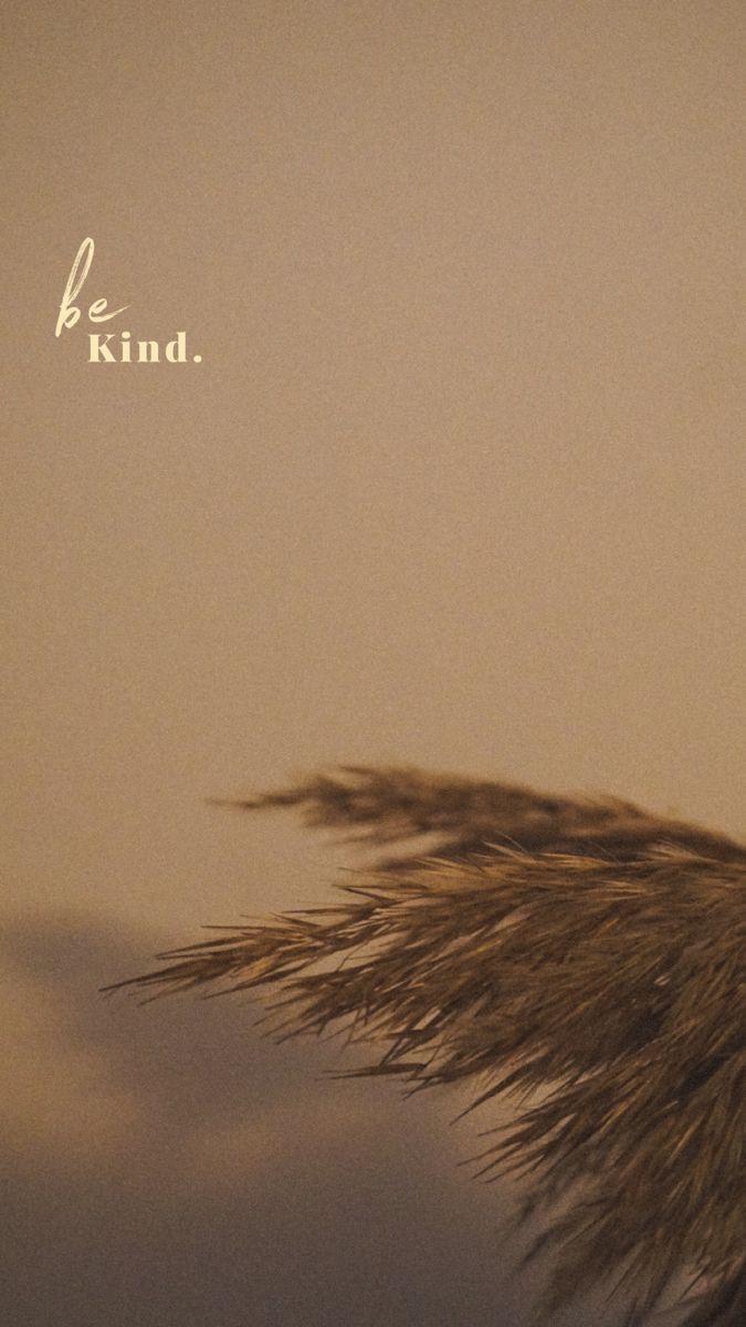 Biege Wallpapers Aesthetic, Choose Kindness Wallpaper, Soft Beige Aesthetic Quotes, Soft Beige Aesthetic Wallpaper, Be Kind Wallpaper Aesthetic, Insta Page Aesthetic, Winter Phone Wallpaper Aesthetic, Dark Beige Wallpaper, Beige Iphone Aesthetic