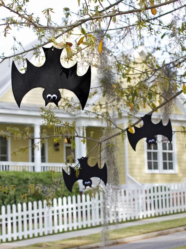 two bats hanging from a tree in front of a house