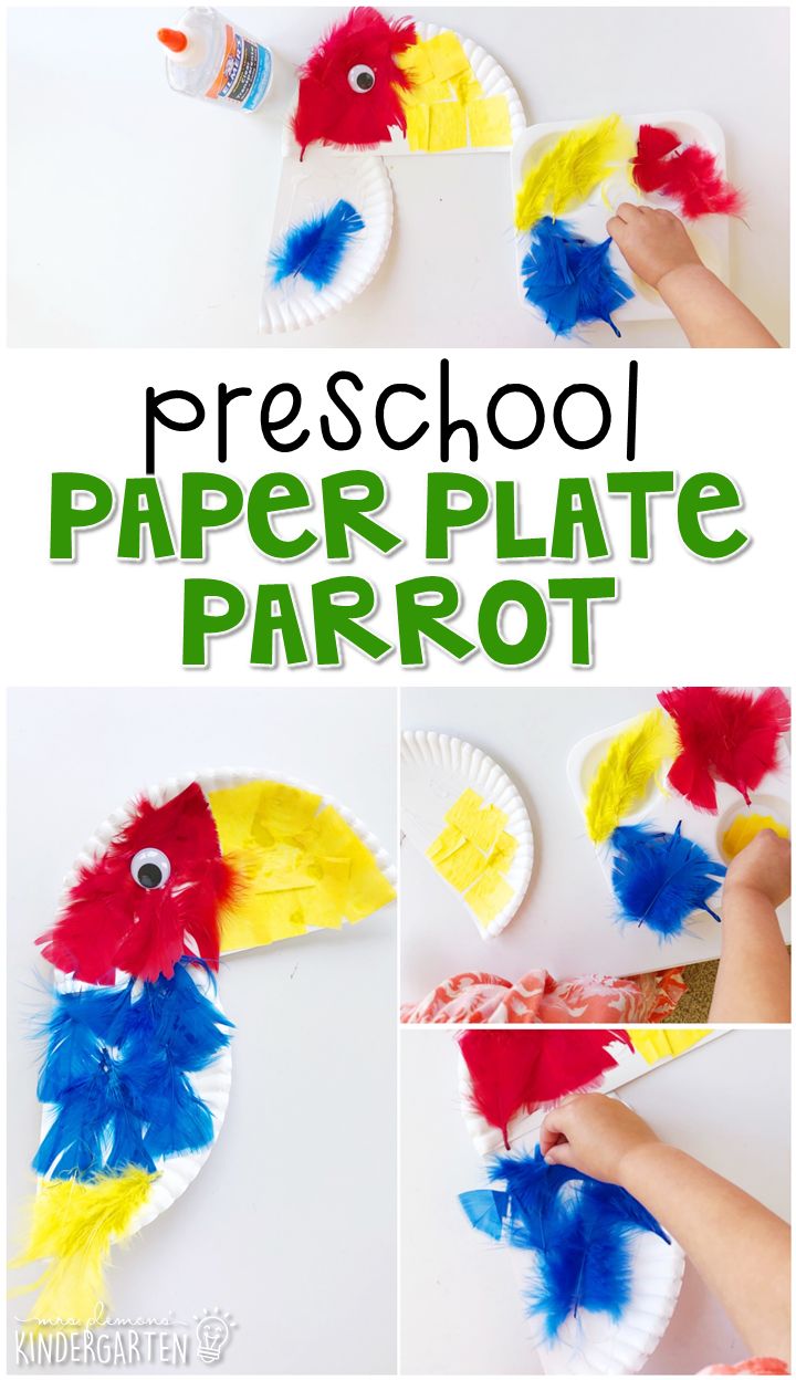 this paper plate parrot craft is perfect for the kids to make it looks like they are ready