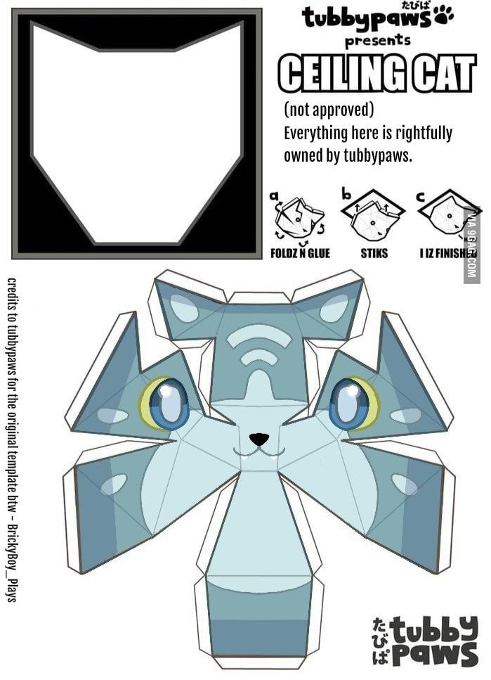 an origami cat is shown with instructions to make it