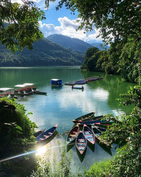 several canoes are docked at the edge of a lake