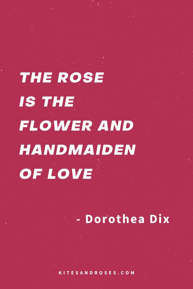 the rose is the flower and the handmaiden of love - dorotea dix