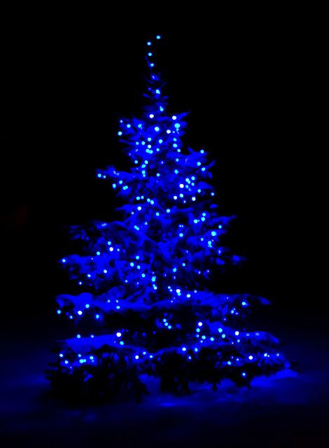 a lit up christmas tree in the dark with blue lights on it's branches