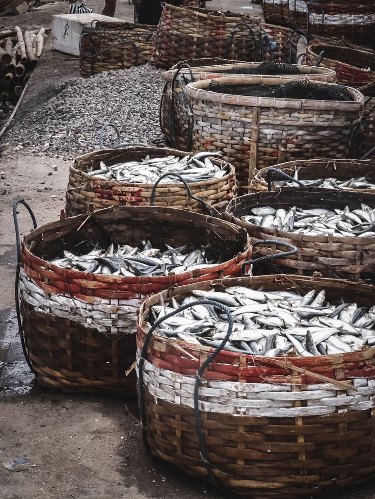 several baskets filled with fish sitting on the ground