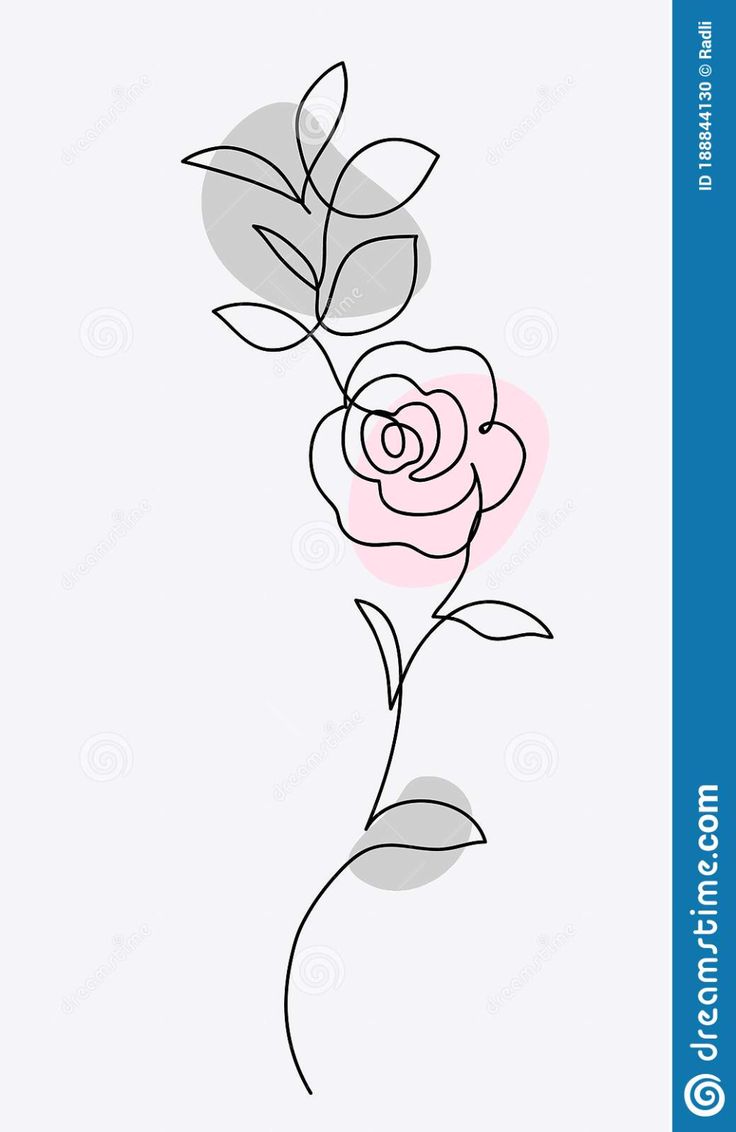 a single rose on a white background with blue and pink border, this is the outline for