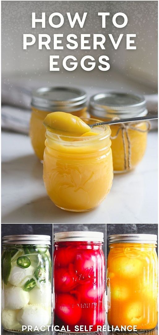 jars filled with different types of food and text overlay reads how to preserve eggs practical self reliance