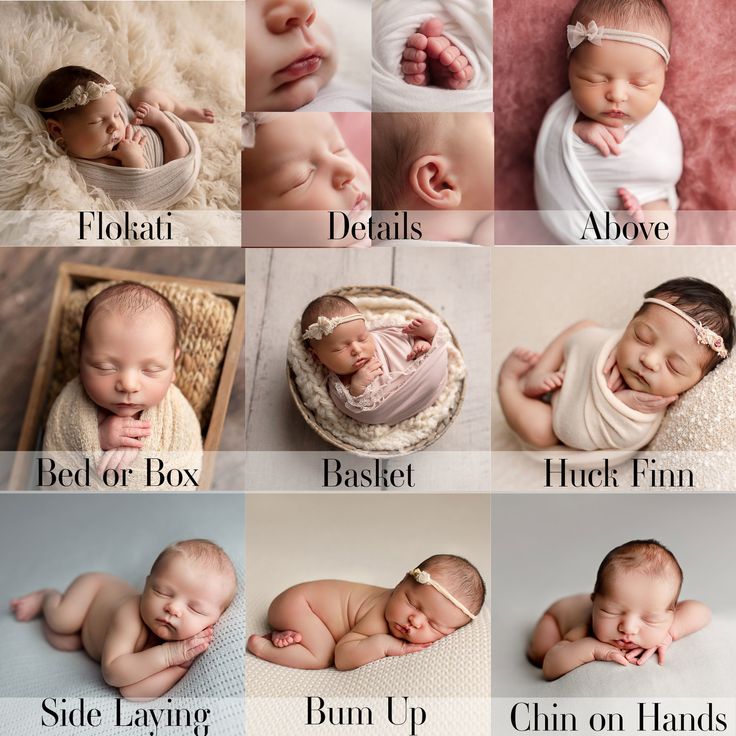 a series of photos showing different types of newborns and their names in multiple pictures