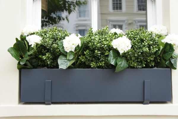 a window box filled with white flowers and greenery