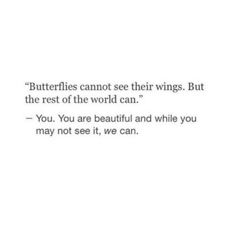 a white wall with a quote on it that says butterflies cannot see their wings but the rest of the world can