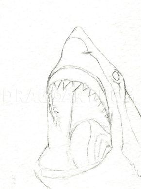 a drawing of a shark's mouth with its teeth open and it is ready to attack