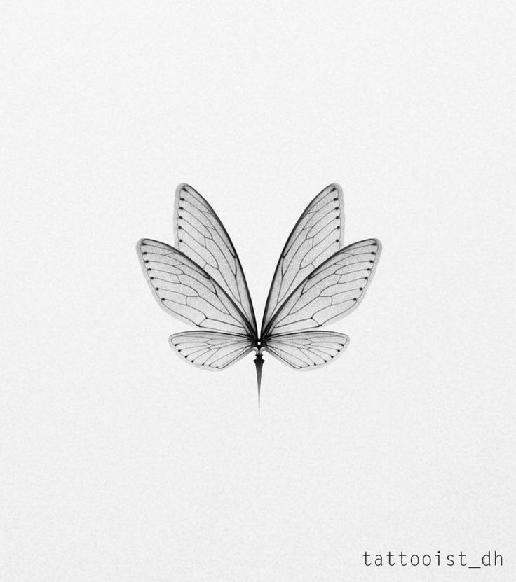 a black and white photo of a butterfly