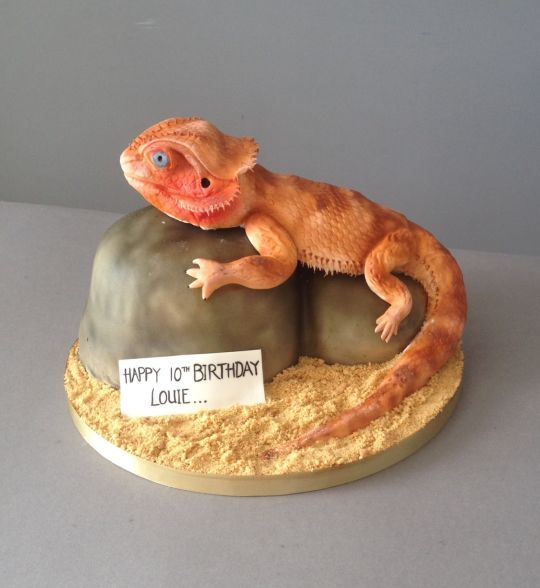 a gecko is sitting on top of a rock with a sign that says happy 10th birthday louie