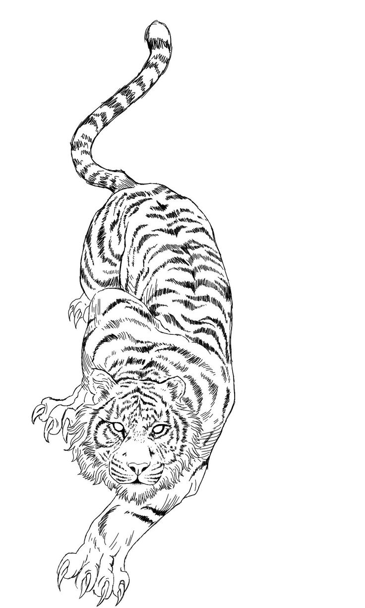 a black and white drawing of a tiger jumping in the air with it's mouth open