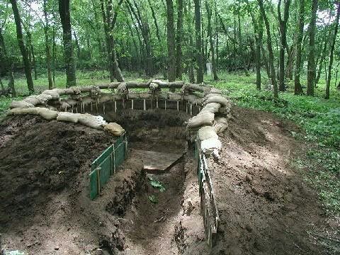 a dug out area in the middle of a forest with lots of dirt and logs