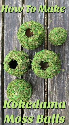 four moss balls sitting on top of a wooden table with the words how to make kokedama moss balls