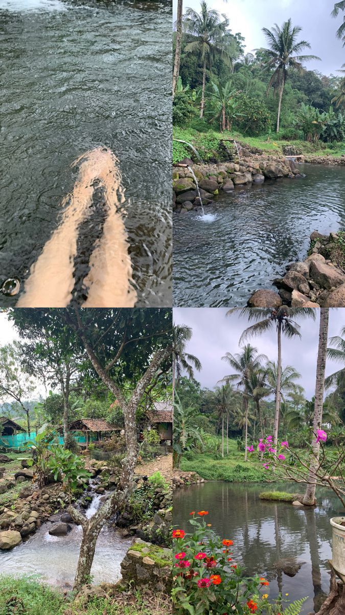 four different views of water and trees in the same photo, one has a river running through it