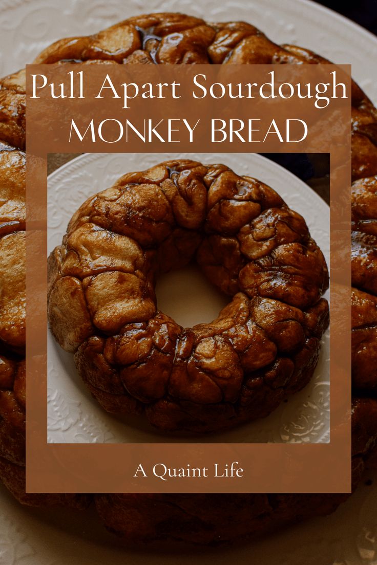 the cover of pull apart sourdough monkey bread is on a white plate with an orange border