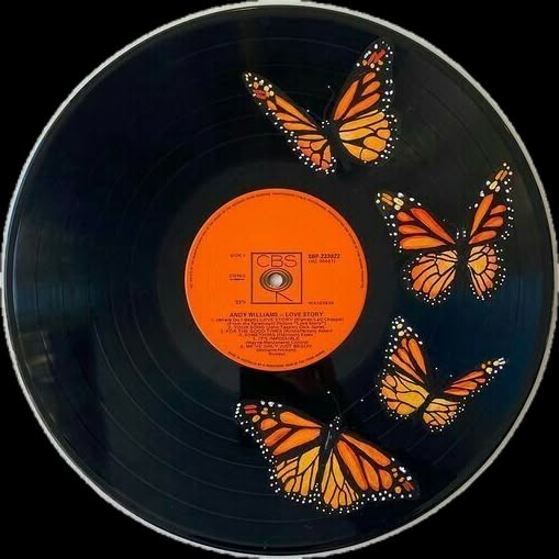 an orange and black record with butterflies on it