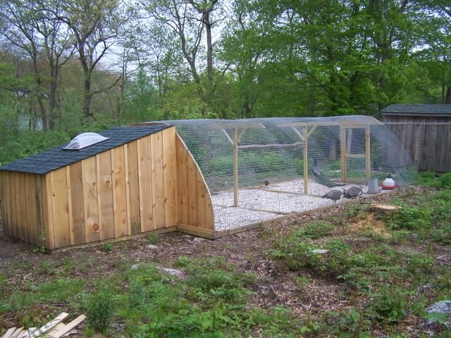 an outdoor chicken coop with chickens in the yard and on the ground next to it