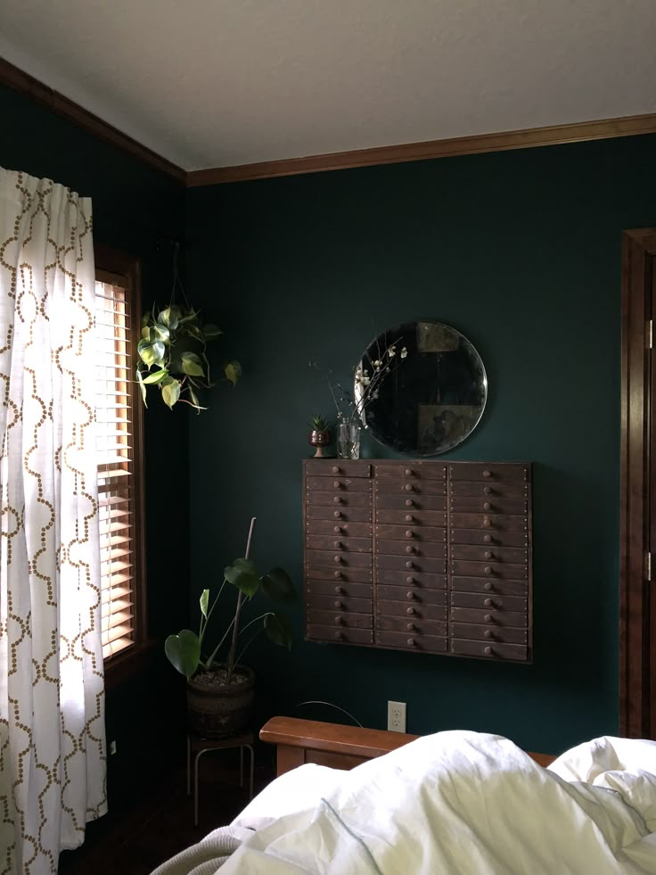 a bedroom with a bed, mirror and plant on the wall in front of it