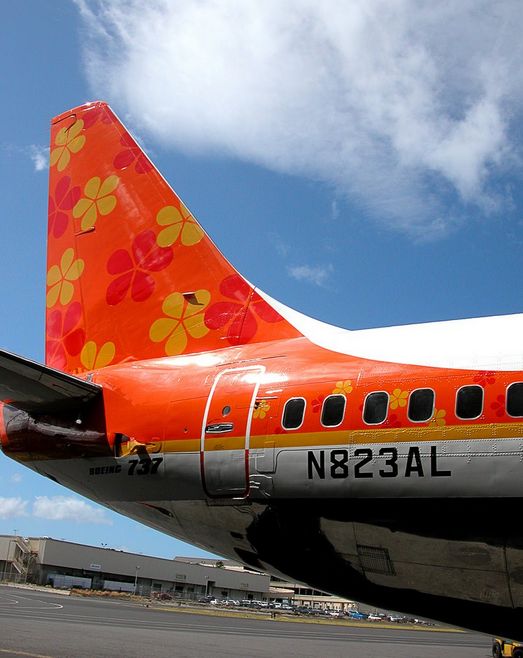 the tail end of an airplane with flowers painted on it's side and windows