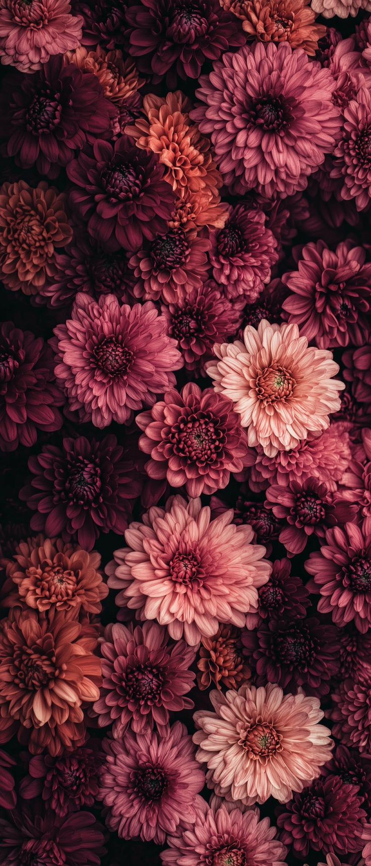 a bunch of flowers that are in the middle of some kind of wallpapers