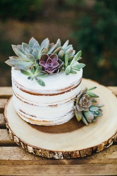 a white cake with succulents on top is sitting on a wooden slice