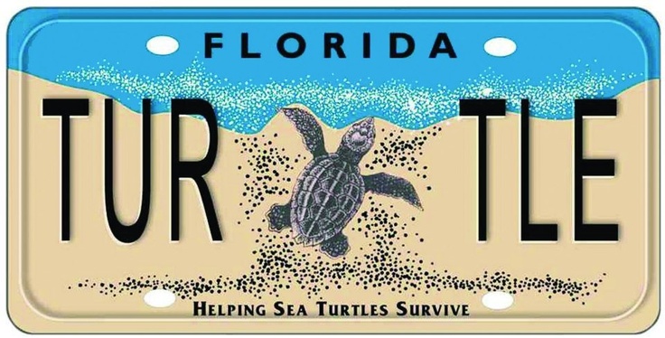 a license plate with a turtle on the beach and sand in the ocean behind it