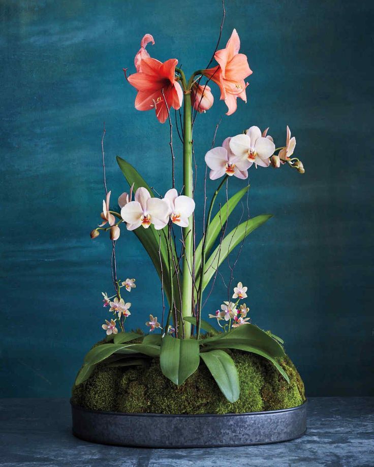 an arrangement of flowers is displayed on a mossy surface in front of a blue background