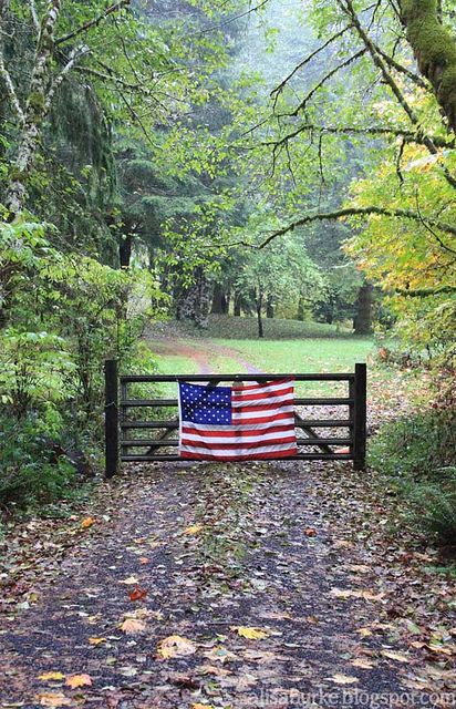 an american flag draped over a gate in the middle of a wooded area with leaves on the ground