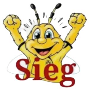 a cartoon character with the words sieg on it's chest and arms in the air