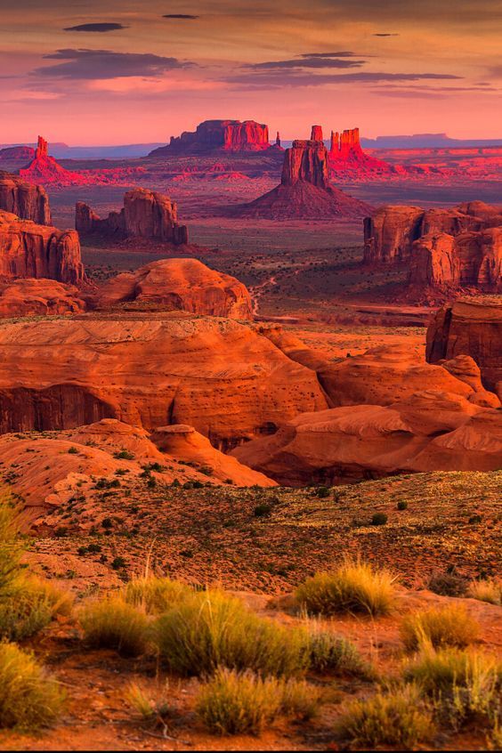 the desert is full of red rocks and green plants