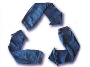 four pairs of blue jeans arranged in a rectangle on a white background, with the bottom half torn off