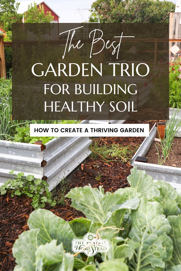 the best garden trio for building healthy soil is here in this post it's an easy way to create a thriving garden