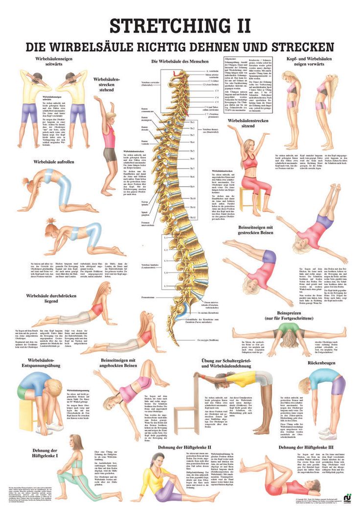 a poster showing the different stretches for stretching