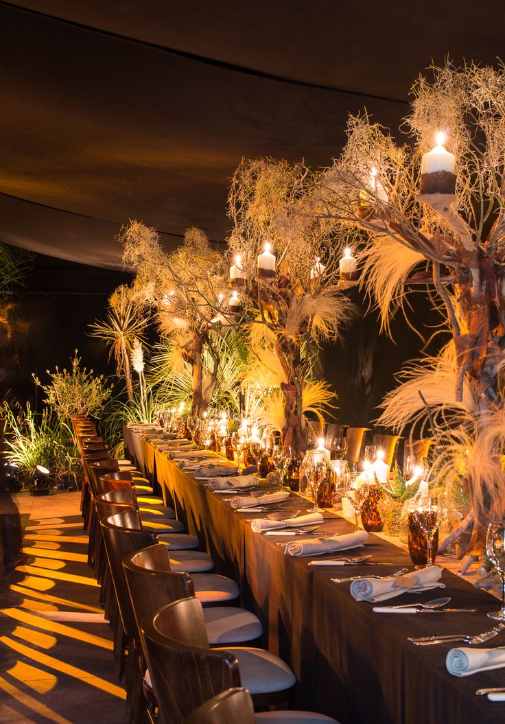 a long table is set with place settings for dinner guests to enjoy the night in