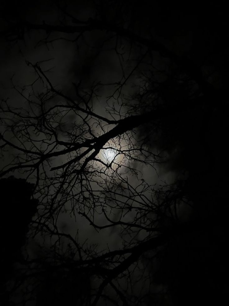 the moon is seen through some branches in the night sky, with only one light visible