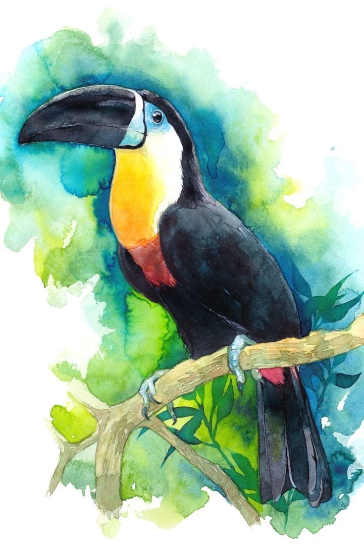 a watercolor painting of a toucan on a branch