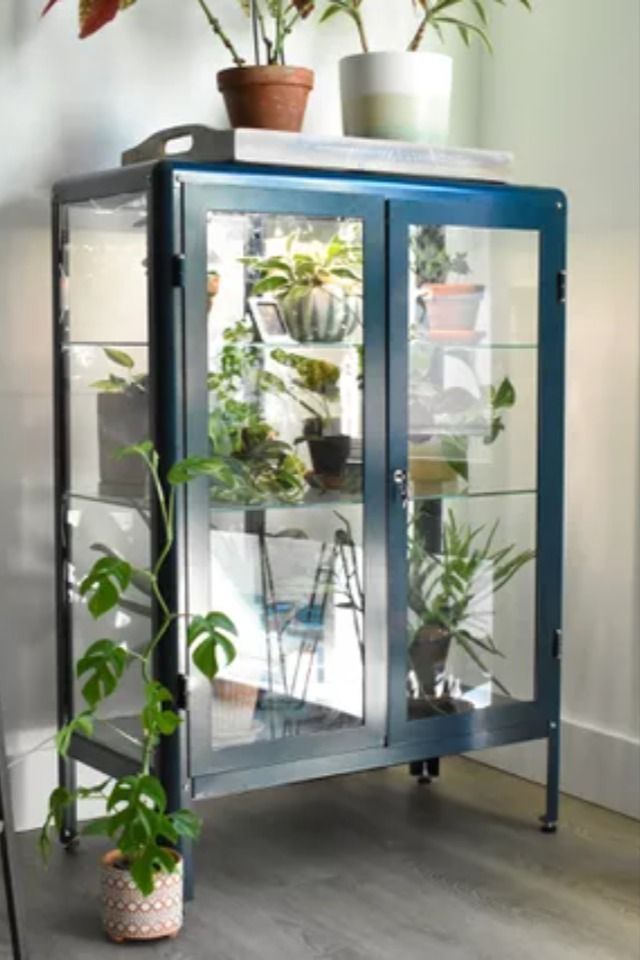 There's no denying how charming IKEA greenhouse cabinets are. If you have one or are interested in creating your own, here are 7 products we recommend having. #IKEA #GreenhouseCabinet #Plants #PlantCabinet #TheSpruce Ikea Plant Cabinet Greenhouse, Greenhouse Bookshelf, Plant China Cabinet, Diy Ikea Greenhouse, Glass Cabinet For Plants, Ikea Green House Cabinet, Ikea Cabinet Plants, Ikea Indoor Greenhouse, Greenhouse Ikea Cabinet