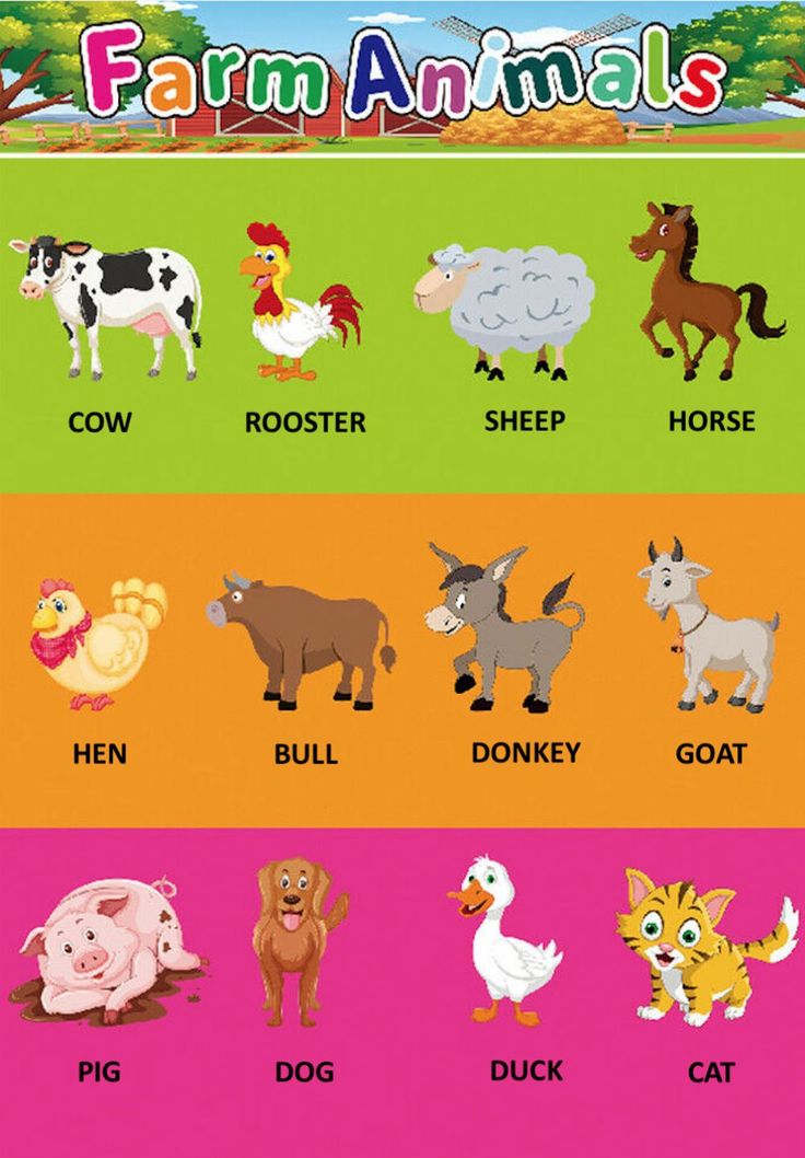 farm animals and their names are shown in this graphic chart for children's learning