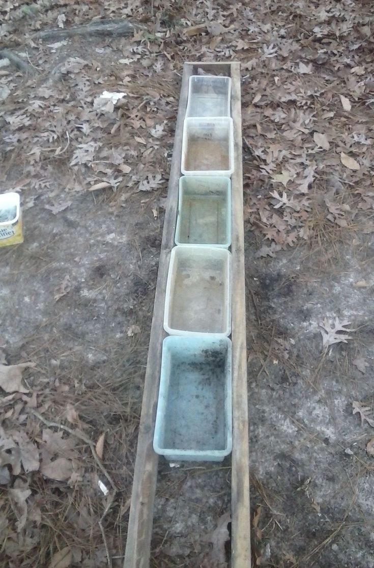 four empty bowls sitting on the ground