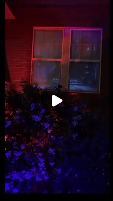 an image of the outside of a house at night with lights on and flowers in front