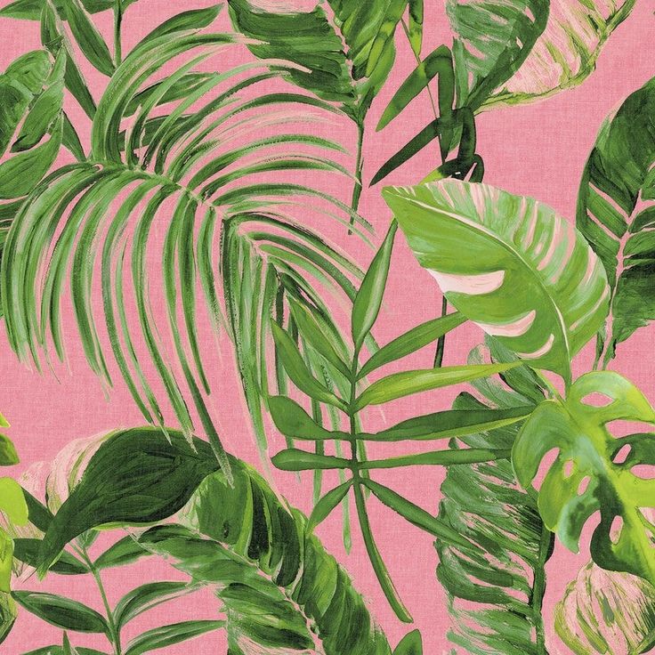 pink and green tropical leaves wallpaper with white flowers on the bottom right corner in front of a light pink background