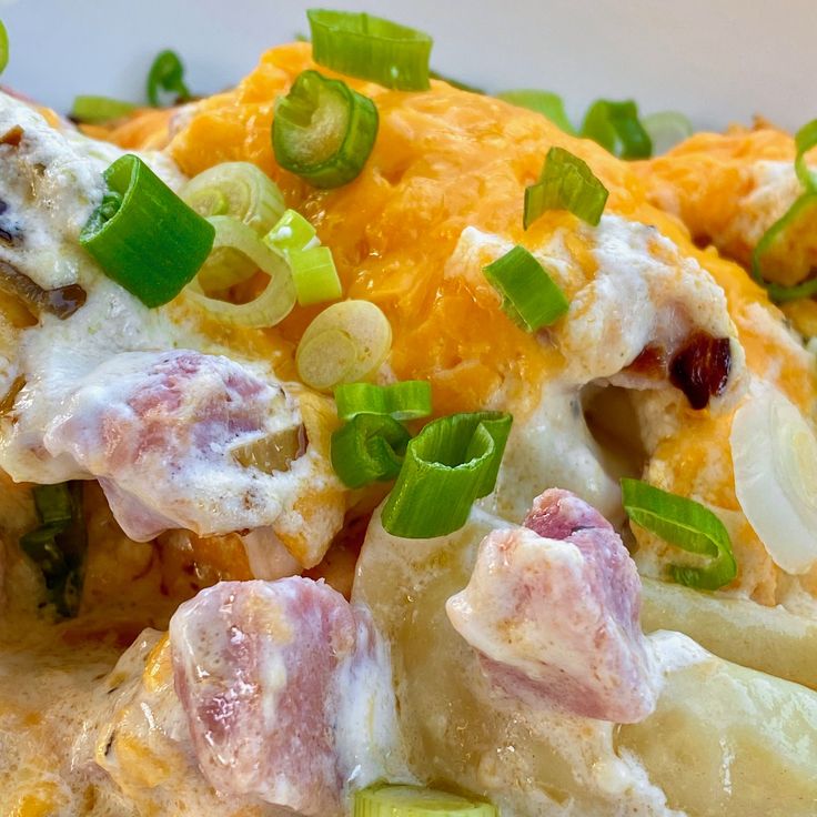 a close up of food on a plate with green onions and other vegetables around it