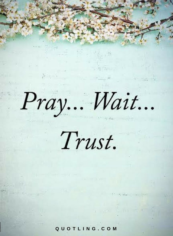 the words pray wait trust are written in black on a blue background with white flowers