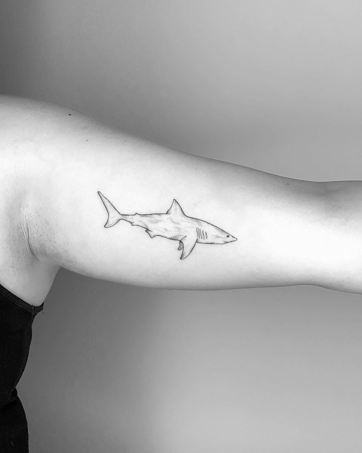 a black and white photo of a woman's arm with a shark tattoo on it